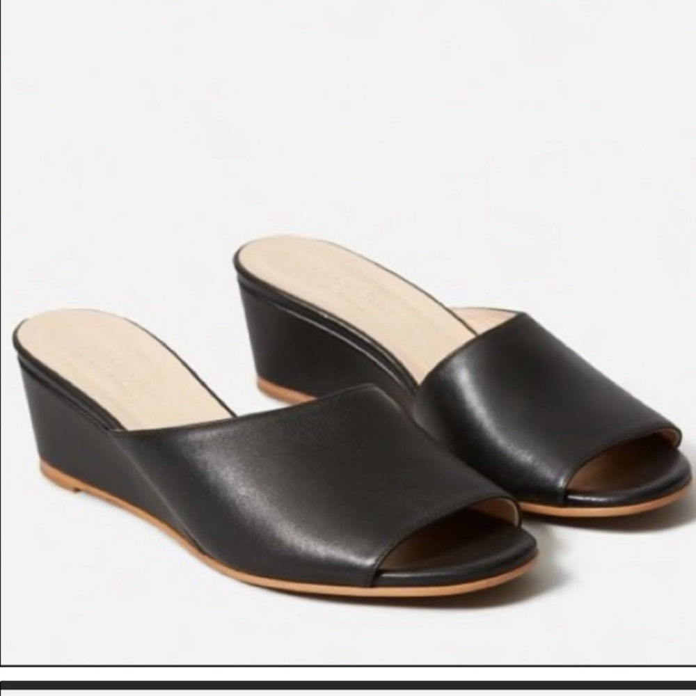 Everlane shoe